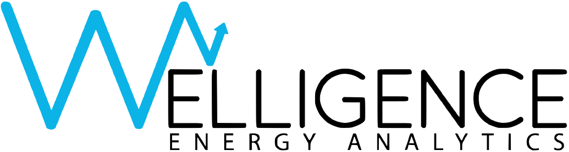 Welligence Energy Analytics logo